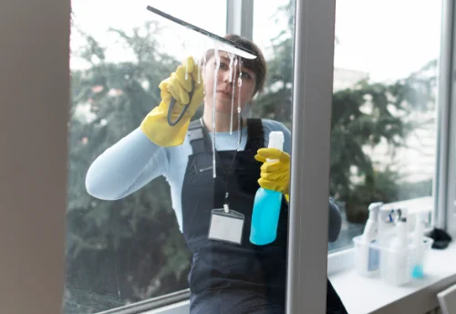Nettoyage de vitres intérieures et extérieures à Rigny